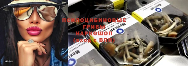 твердый Осташков