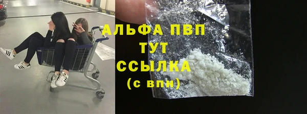 твердый Осташков