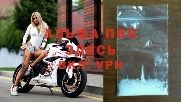 твердый Осташков