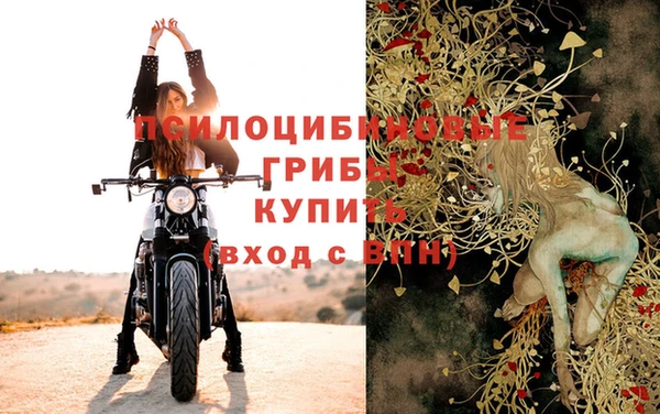 твердый Осташков