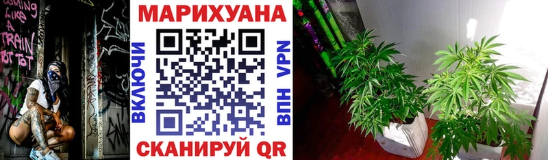 МАРИХУАНА индика  Сосновка 